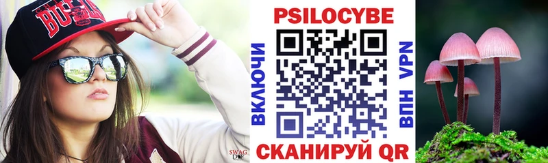 KRAKEN ссылка  Дедовск  Псилоцибиновые грибы Psilocybine cubensis 